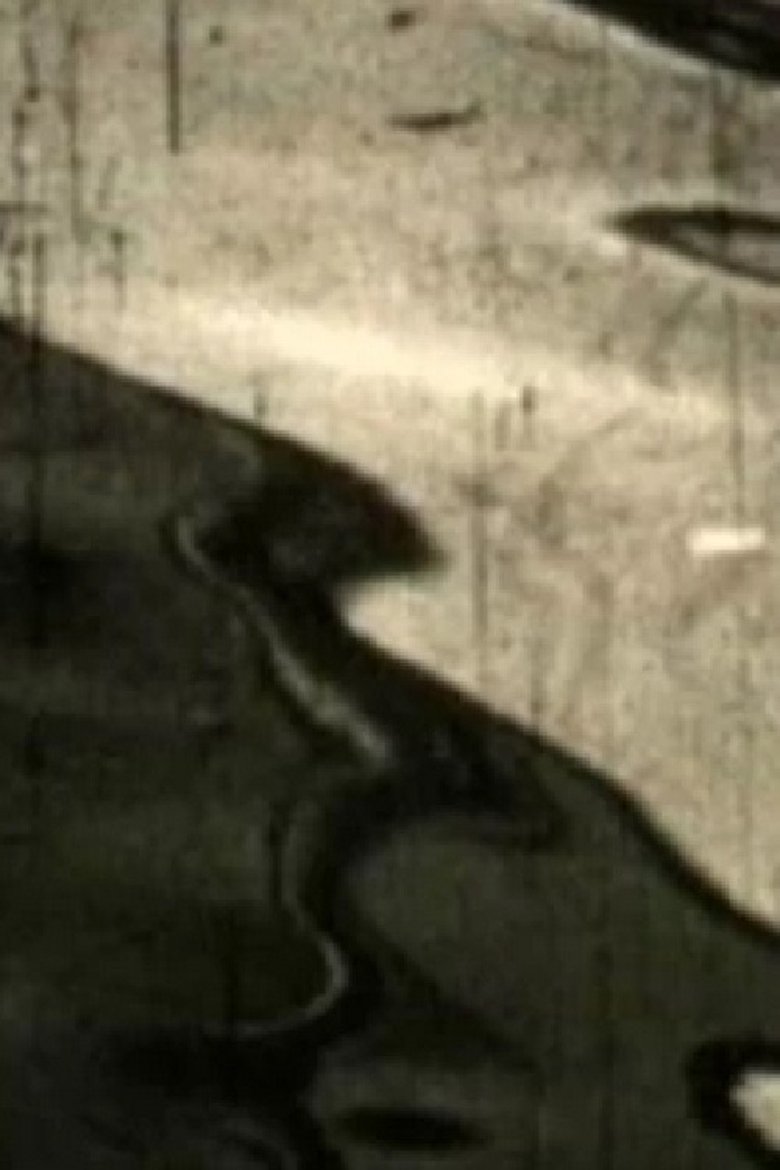 Poster of Twist Twist