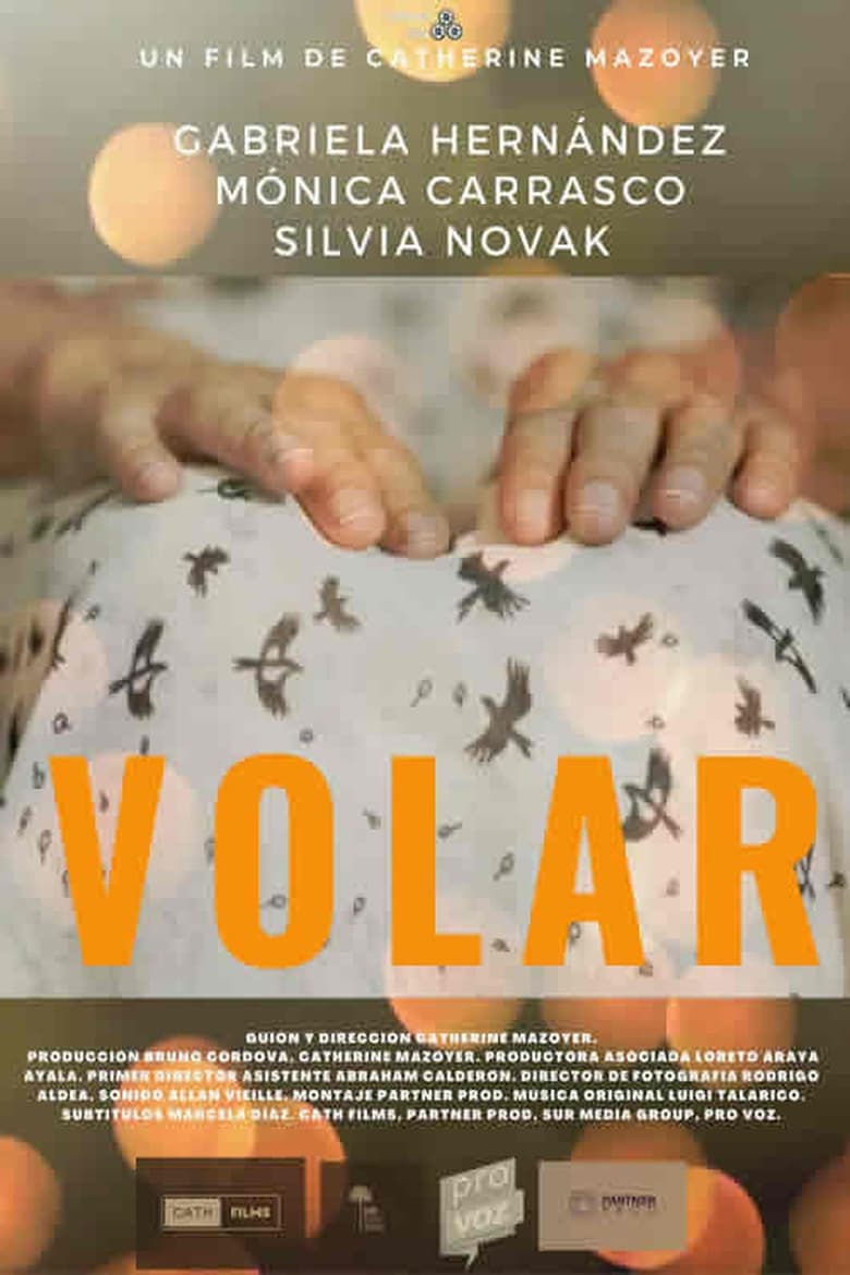 Poster of Volar