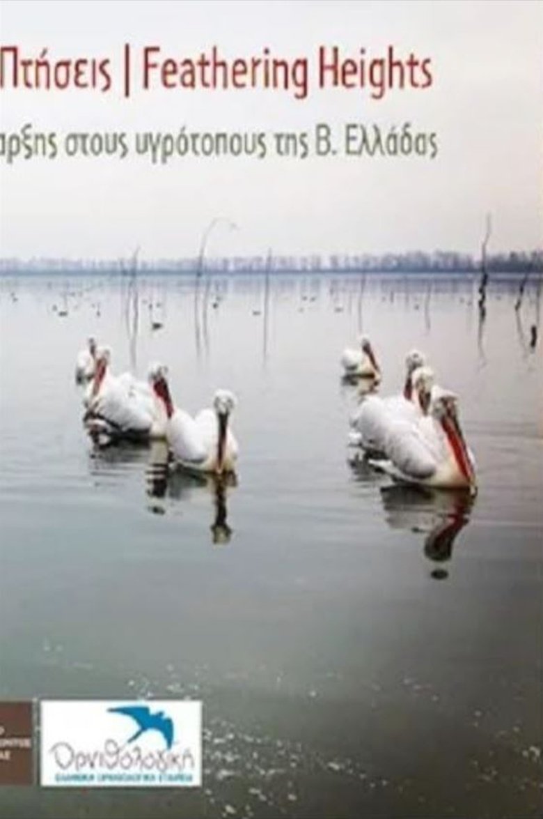 Poster of Ανεμοδαρμένες πτήσεις