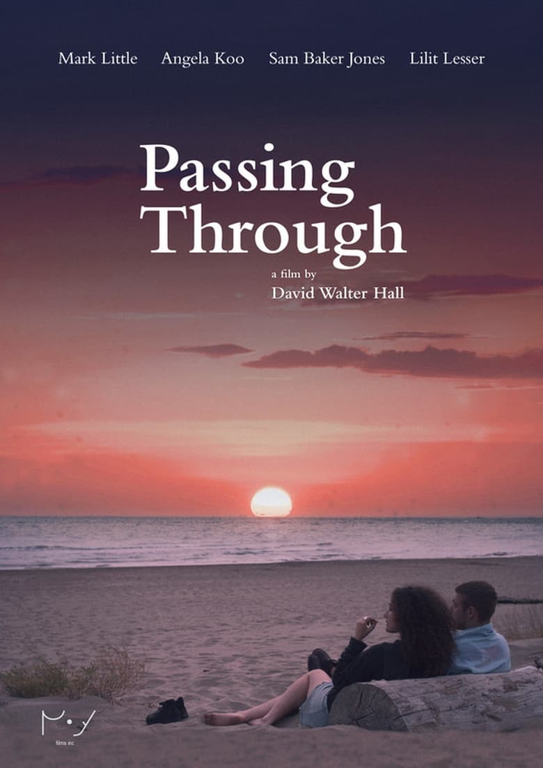 Poster of Passing Through