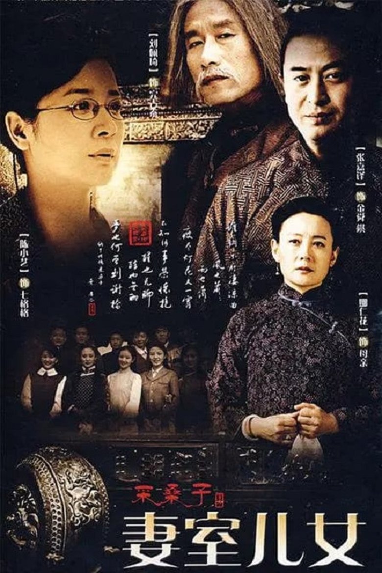 Poster of 妻室儿女