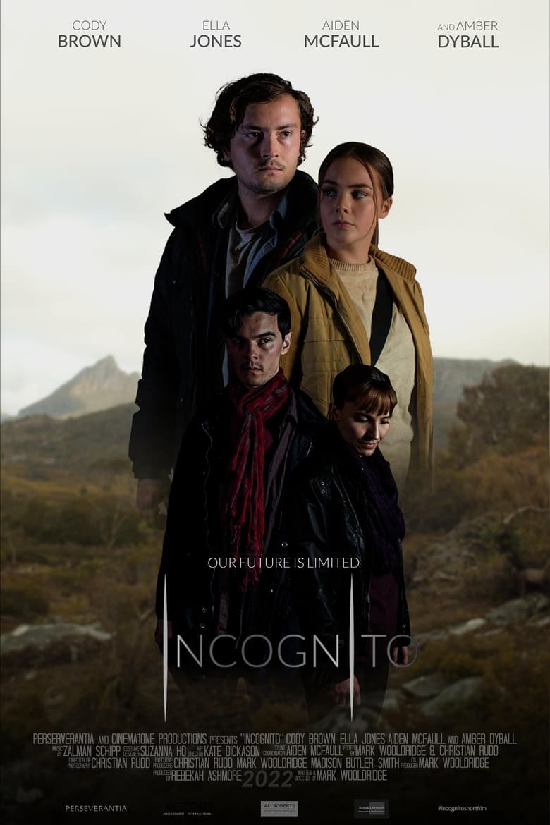 Poster of Incognito