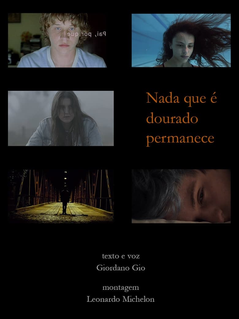 Poster of Nada que é dourado permanece