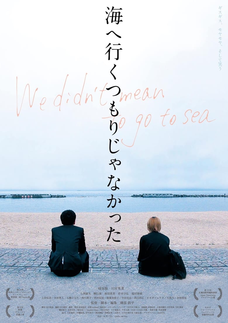 Poster of We Didn't Mean To Go To Sea