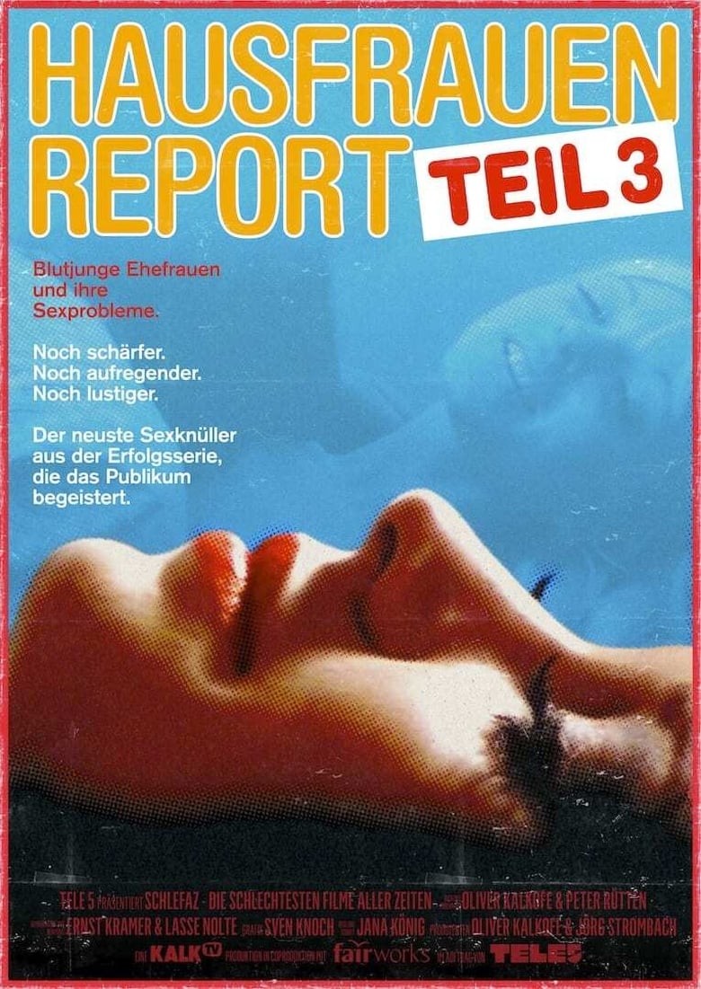 Poster of Hausfrauen-Report 3