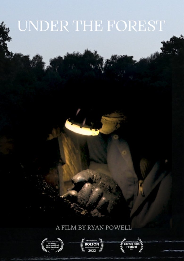 Poster of Under the Forest