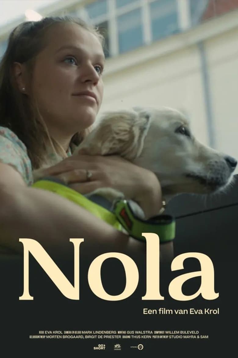 Poster of Nola