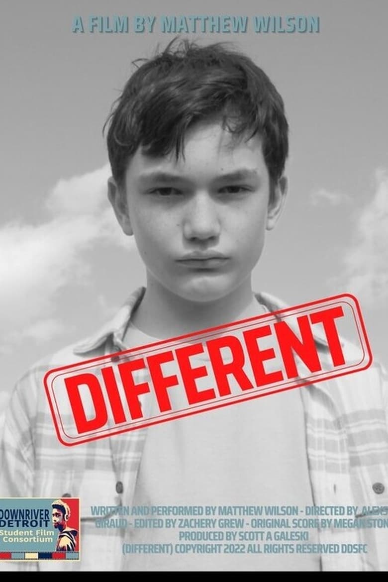 Poster of Different