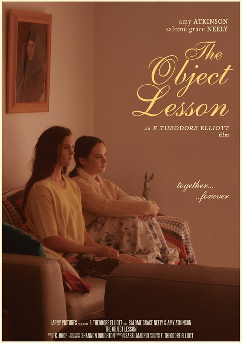 Poster of The Object Lesson