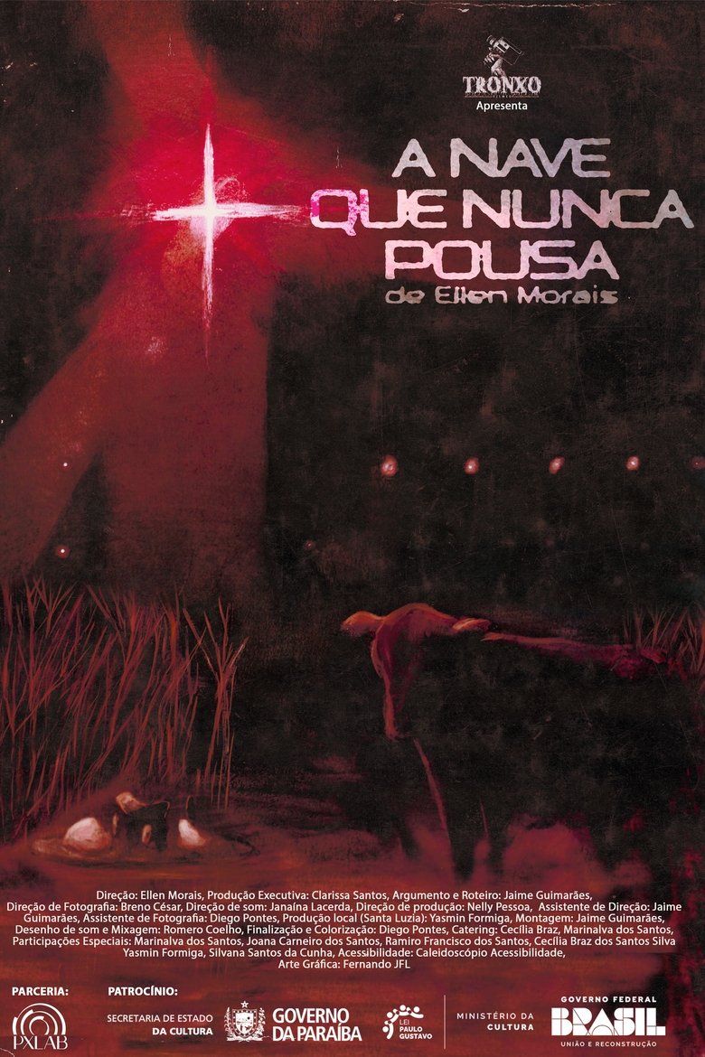Poster of A Nave Que Nunca Pousa
