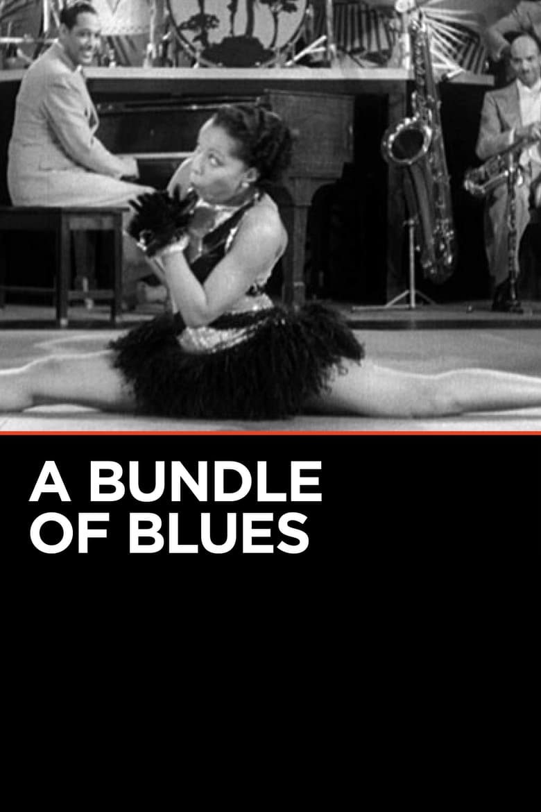 Poster of A Bundle of Blues