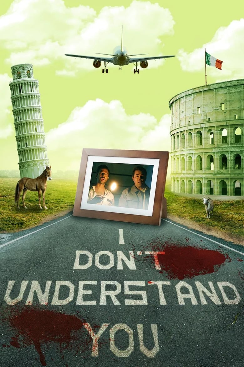 Poster of I Don't Understand You