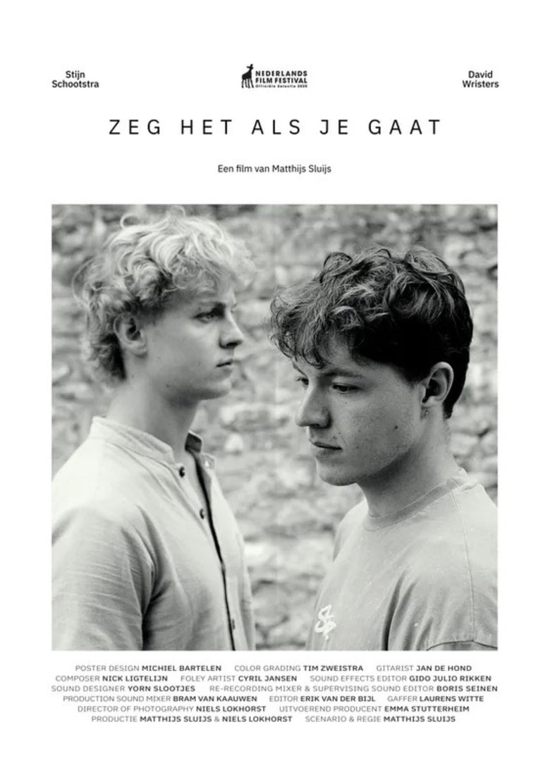 Poster of Zeg het als je gaat