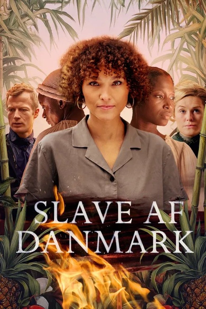 Poster of Slave af Danmark
