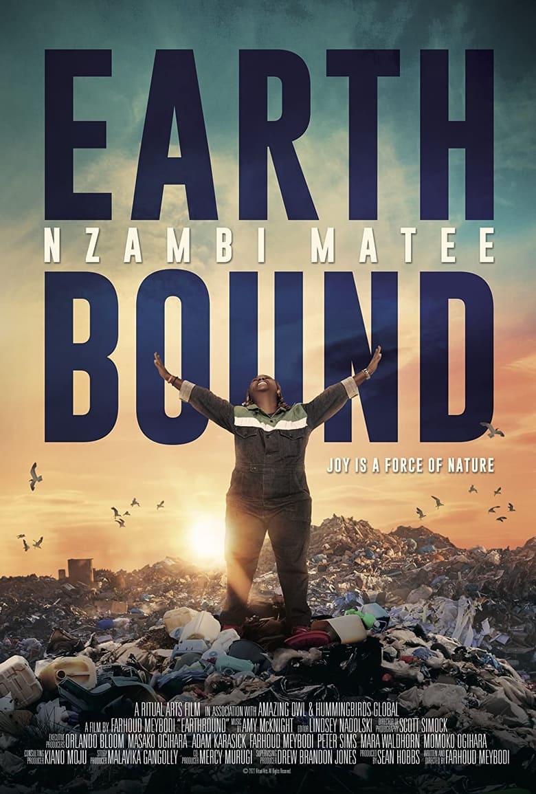 Poster of Earthbound: Nzambi Matee