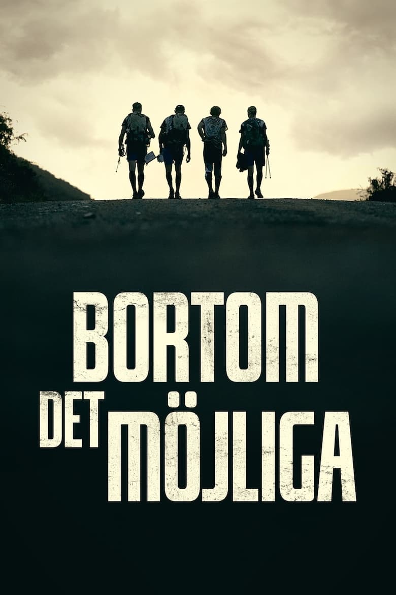 Poster of Bortom det möjliga