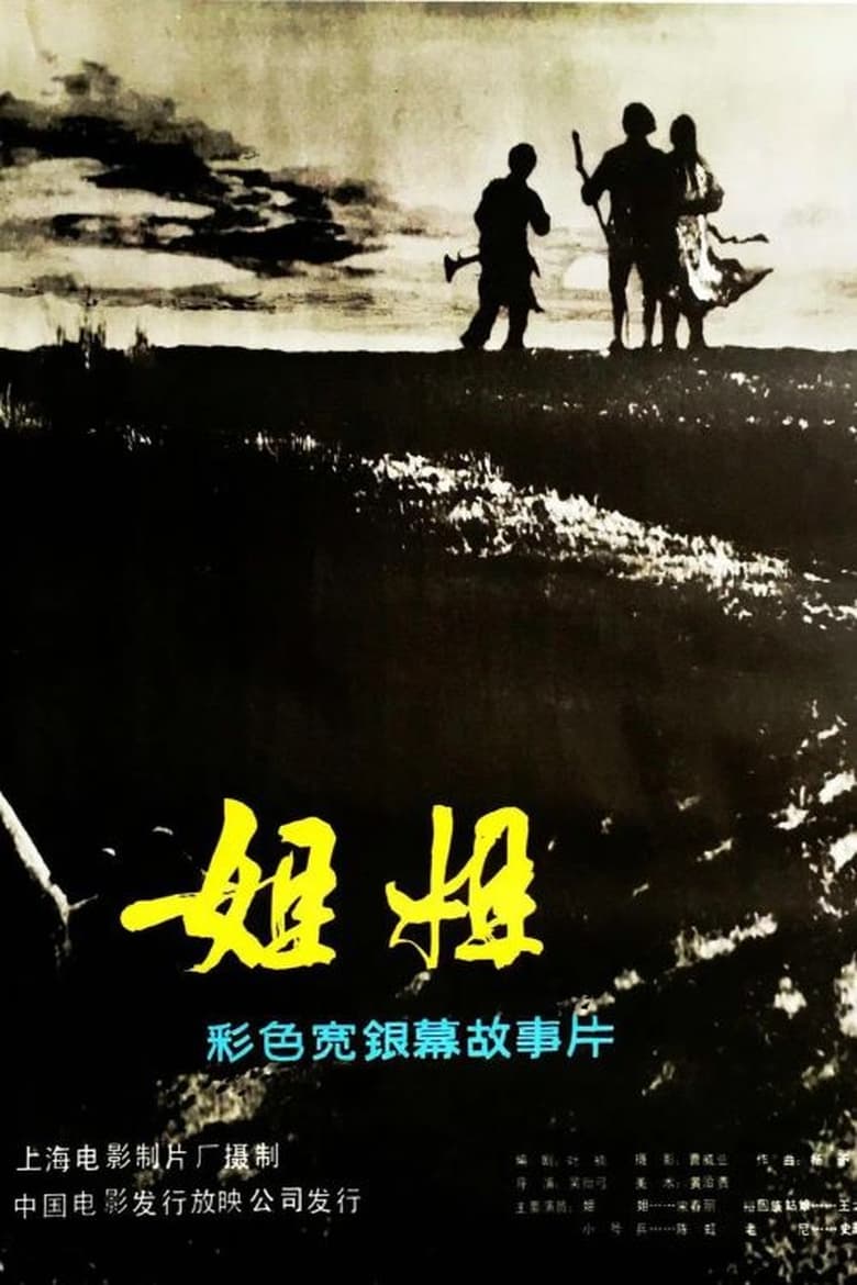 Poster of 姐姐