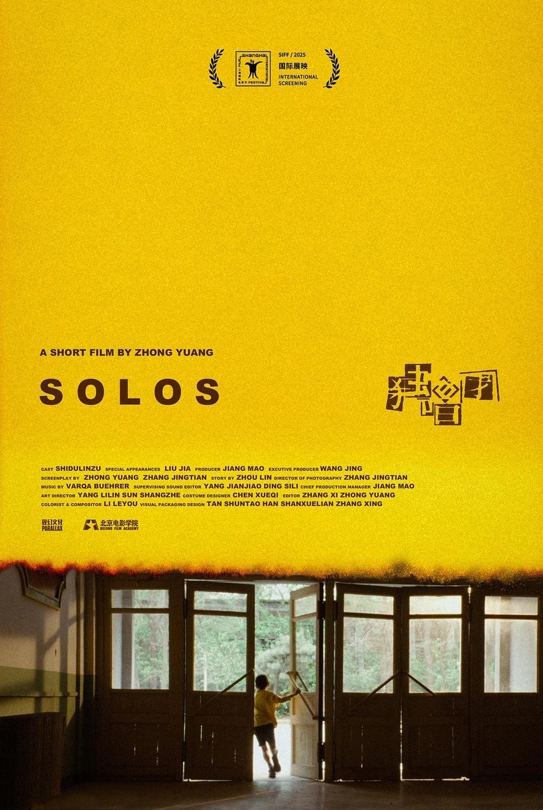 Poster of SOLOS