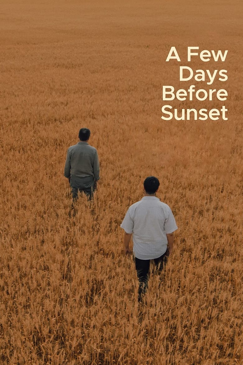 Poster of A Few Days Before Sunset