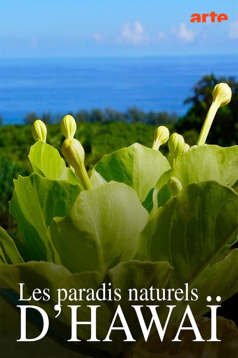 Poster of Hawaiis versteckte Paradiese