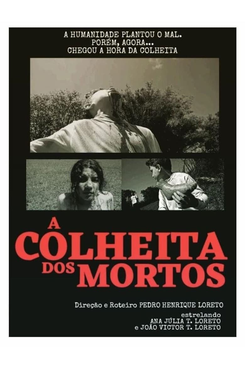 Poster of A Colheita dos Mortos