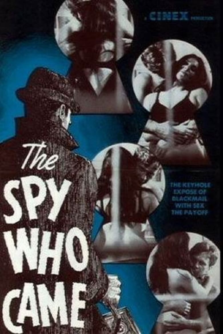 Poster of The Spy Who Came