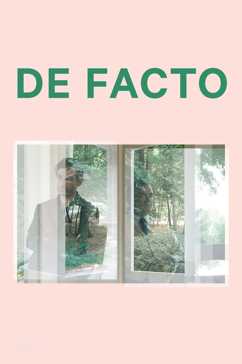 Poster of De Facto