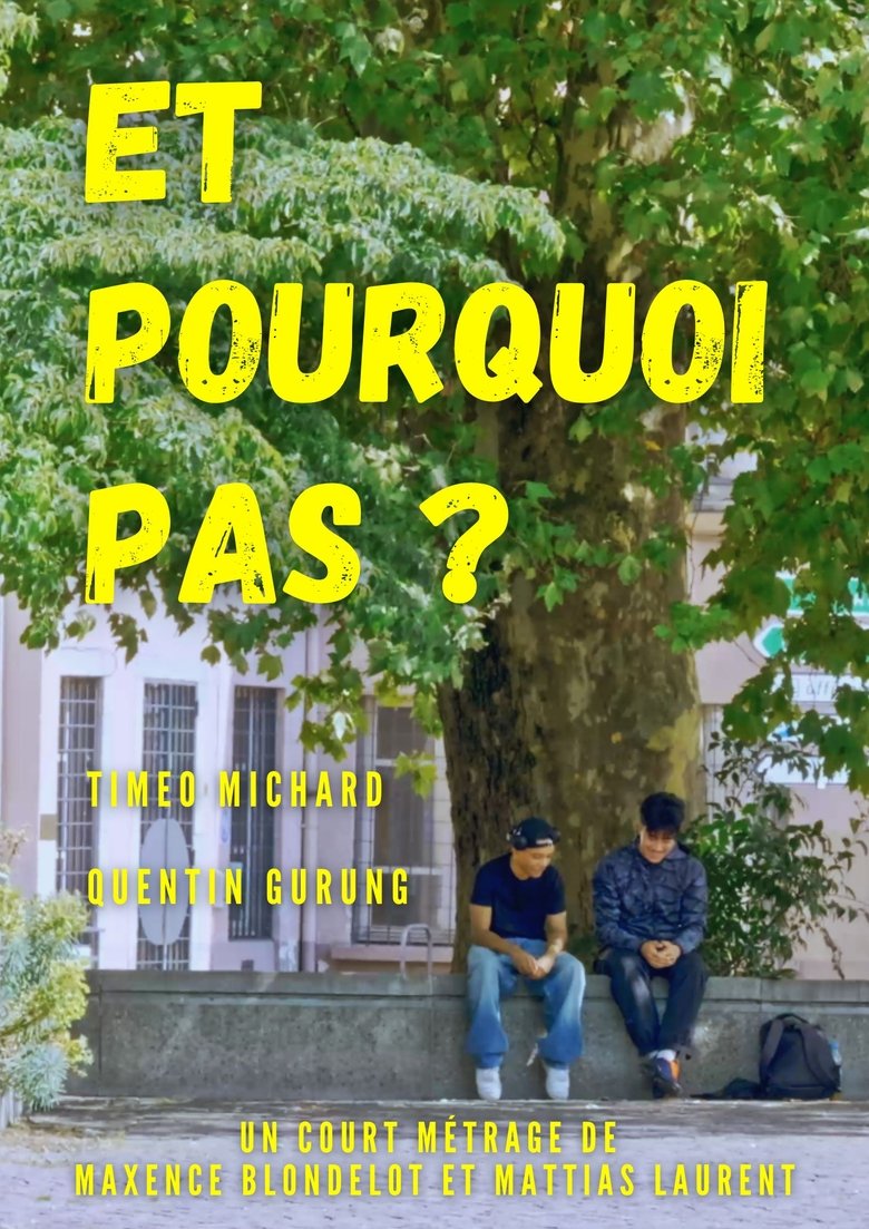 Poster of Et Pourquoi Pas ?