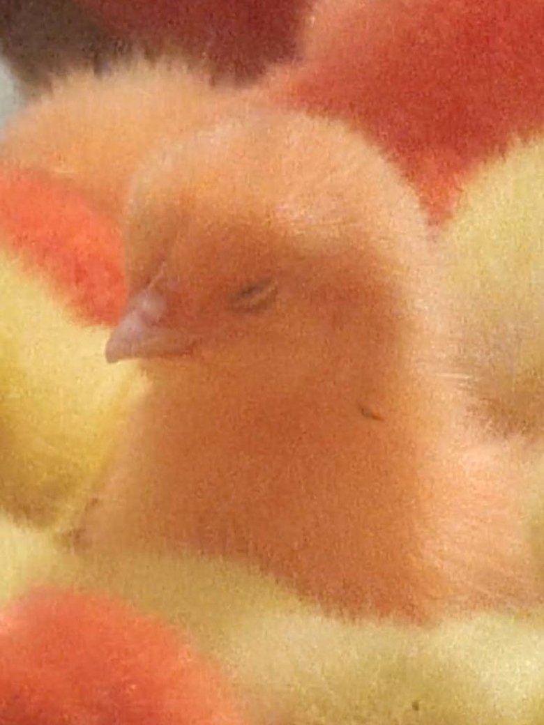 Poster of Ether Reveries (Suite for Thérèse Rivière no.2)