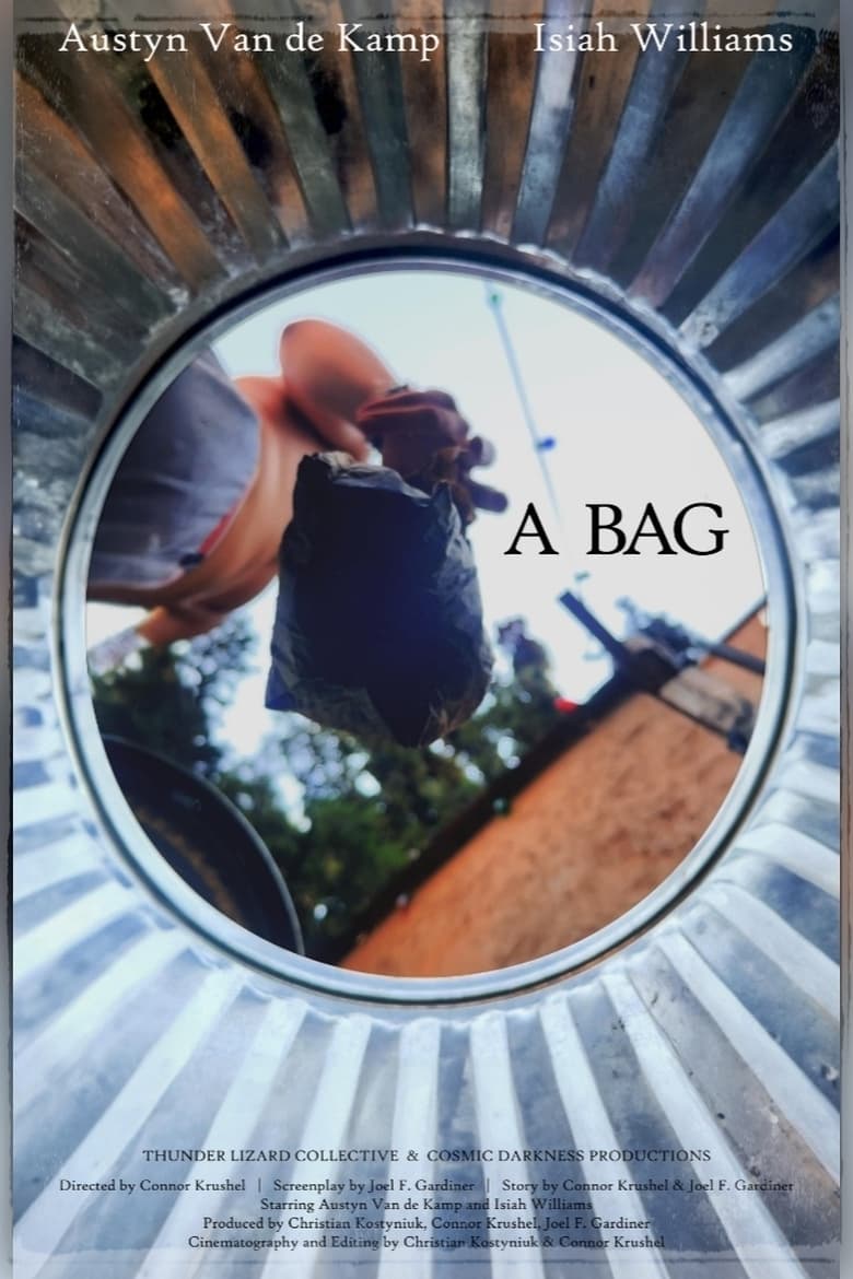 Poster of A Bag