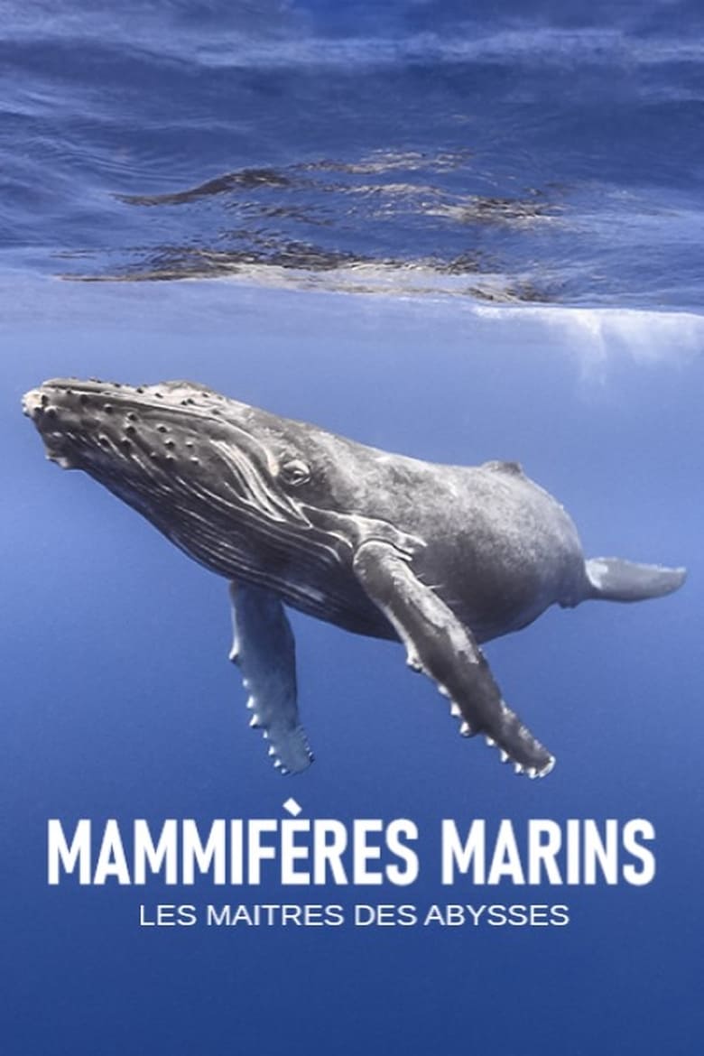 Poster of Mammifères marins - les maîtres des abysses