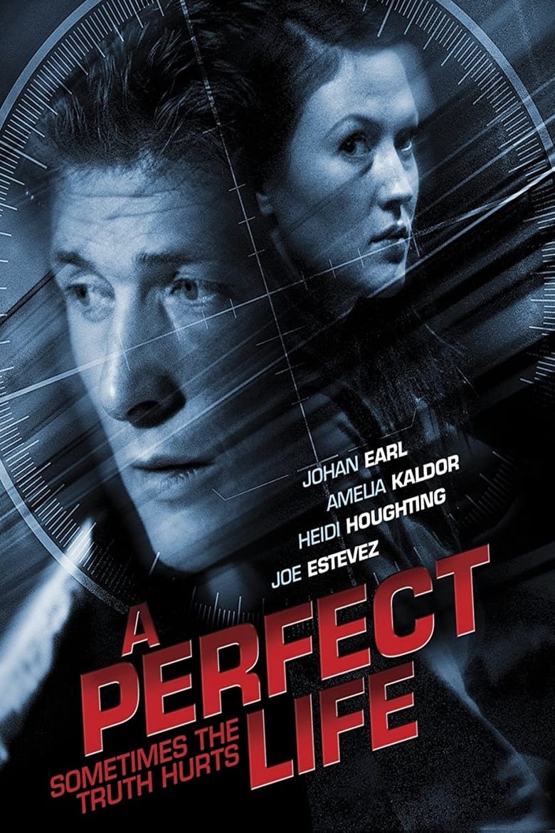 Poster of A Perfect Life