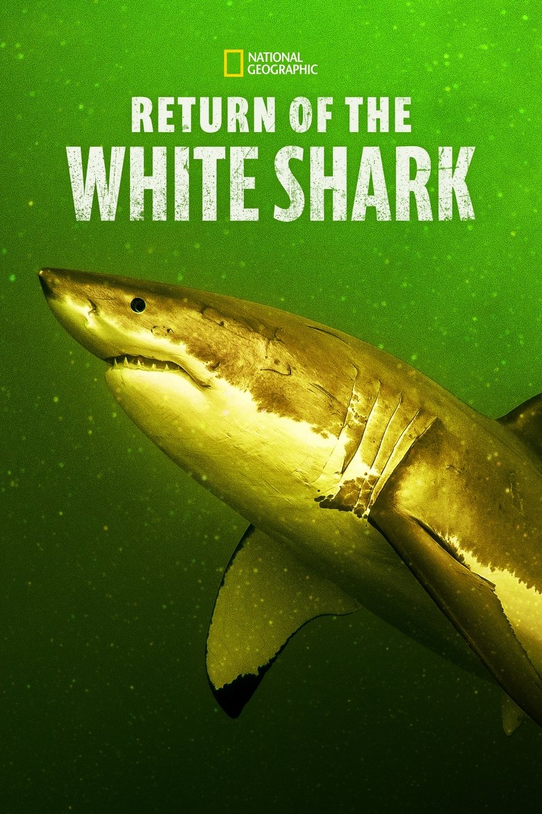 Poster of Return of the White Shark