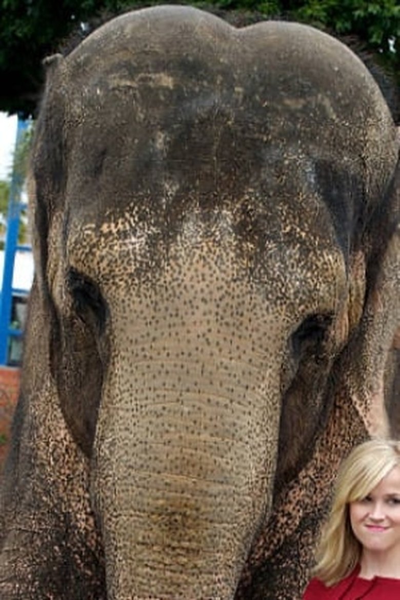 Portrait of Tai the Elephant