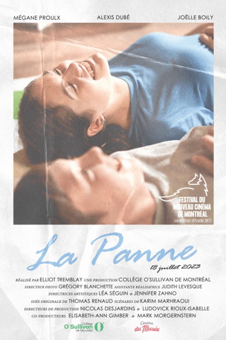 Poster of La panne