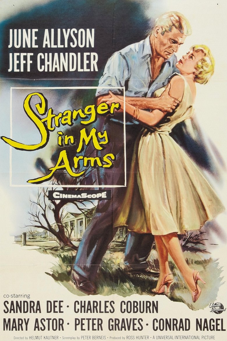 Poster of A Stranger in My Arms