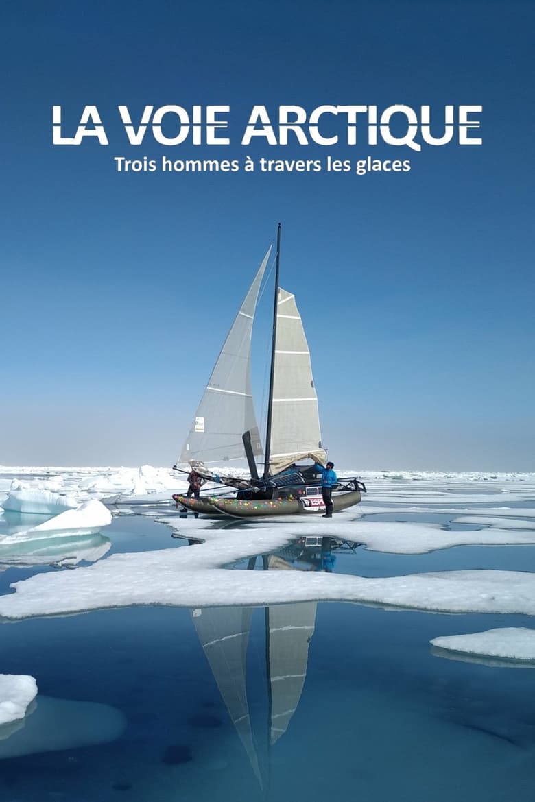 Poster of La Voie arctique - Trois hommes à travers les glaces