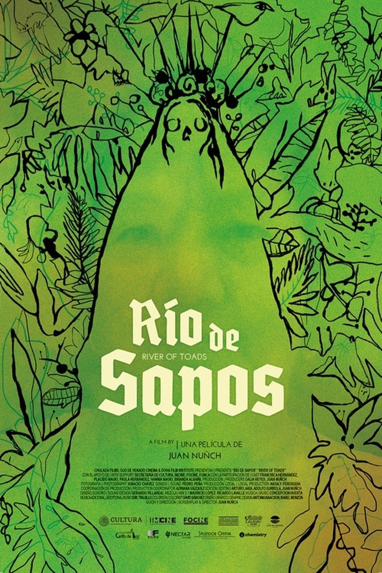 Poster of Río de sapos