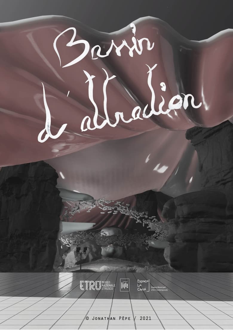 Poster of Bassin d'attraction