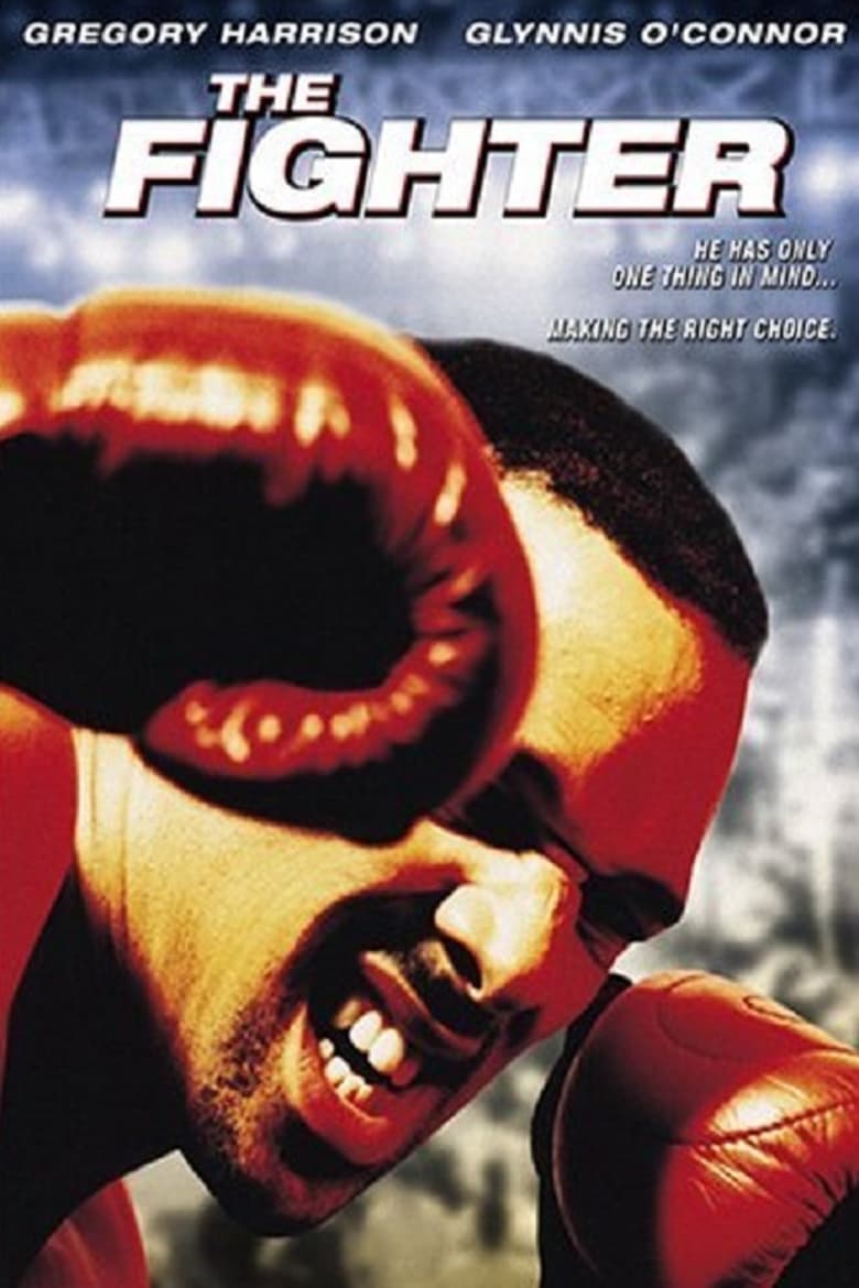 Poster of The Fighter