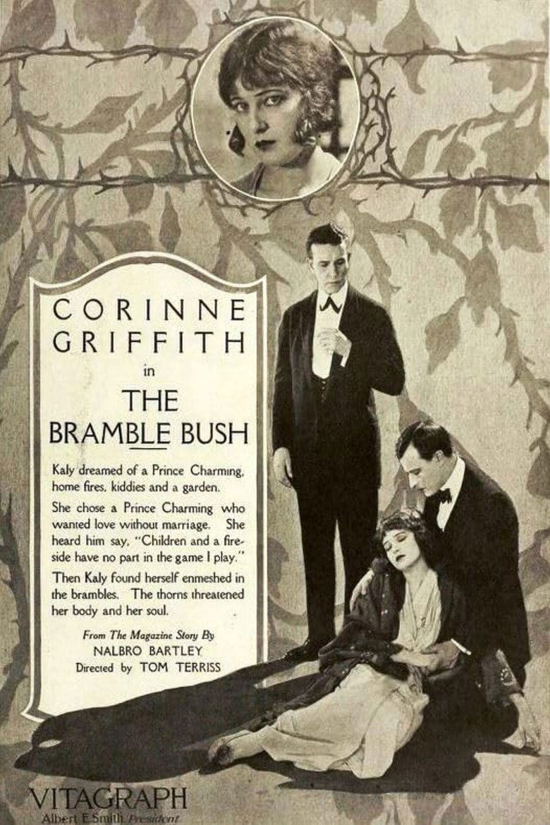 Poster of The Bramble Bush