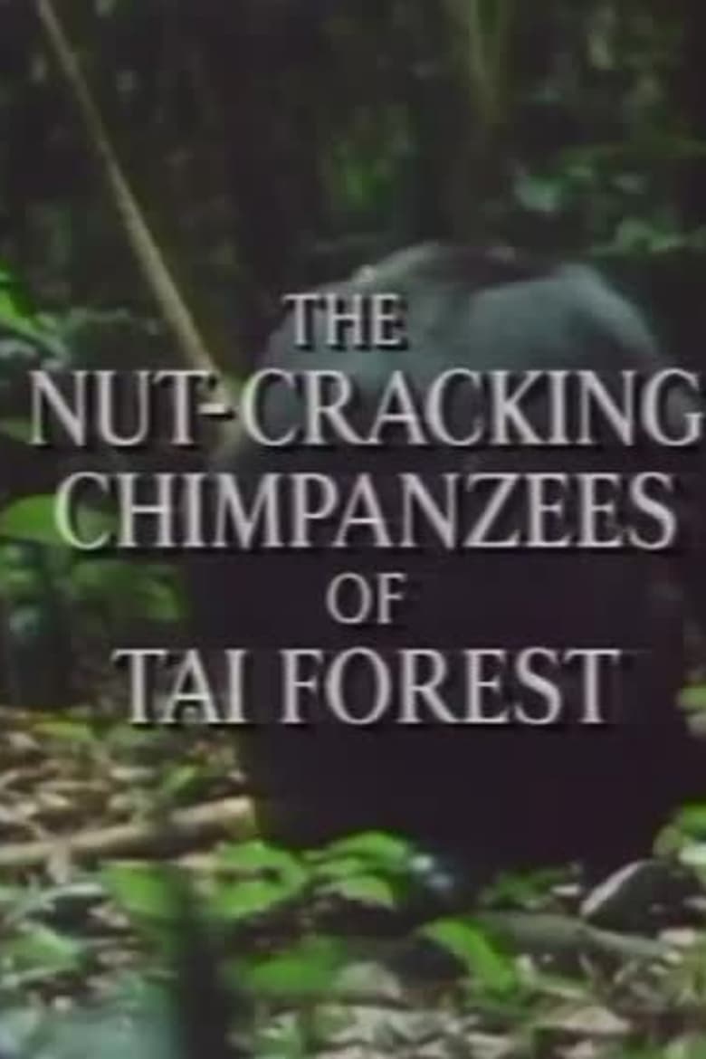 Poster of The Nut Cracking Chimpanzees of Taï Forest