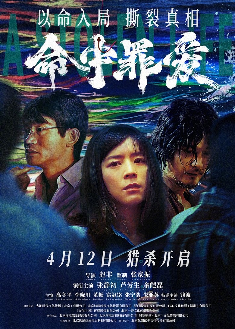 Poster of A Stolen Life