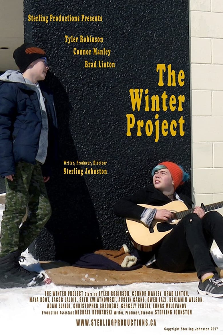 Poster of The Winter Project