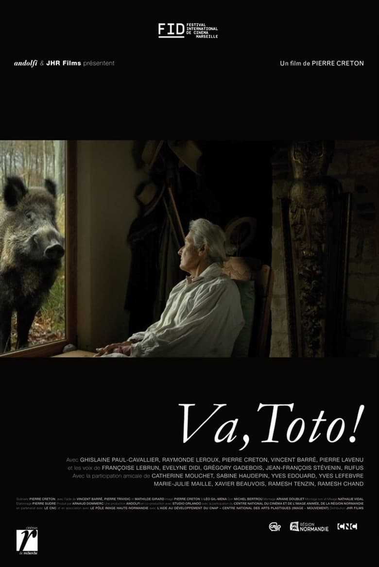 Poster of Go, Toto!