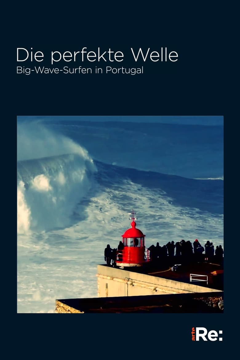 Poster of The Perfect Wave: Big Wave Surfing in Portugal