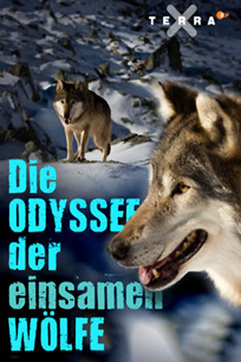 Poster of Die Odyssee der einsamen Wölfe