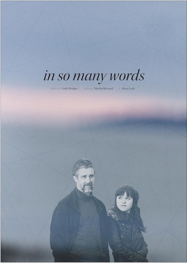 Poster of In So Many Words