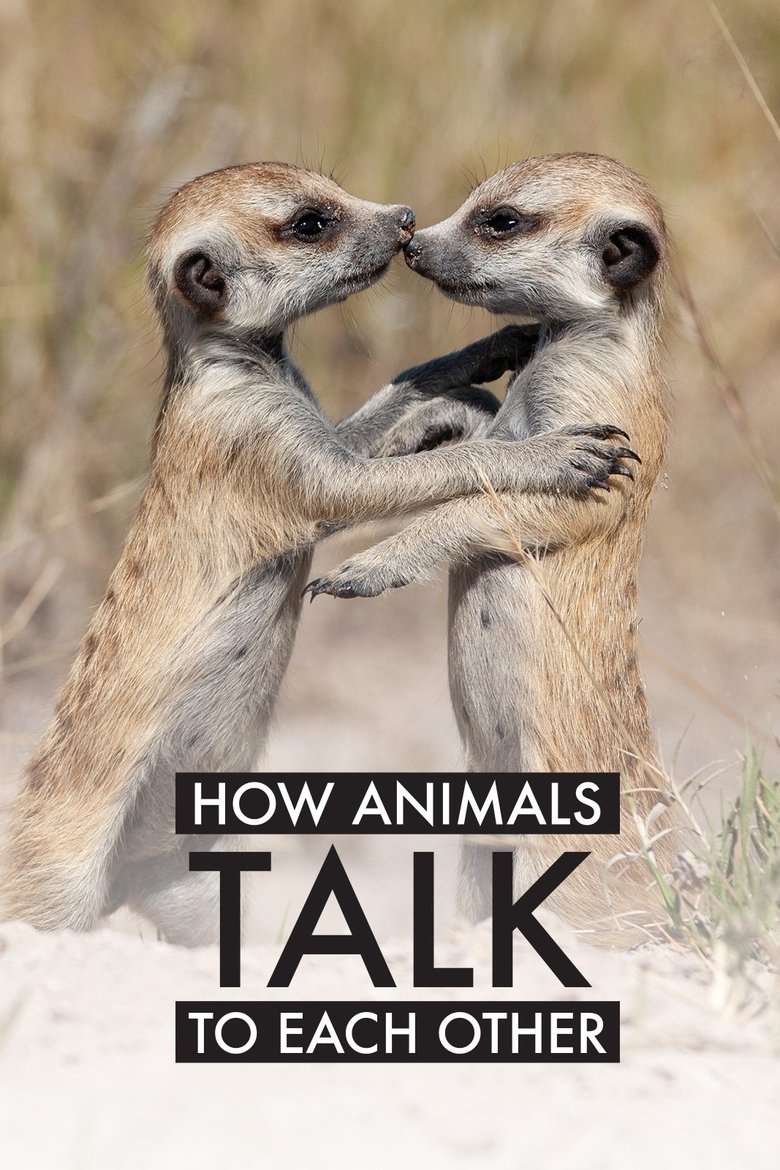 Poster of How Animals Talk To Each Other