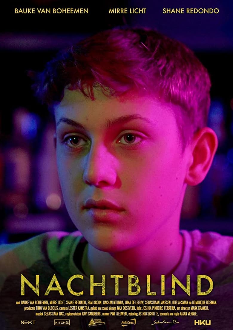 Poster of Nachtblind